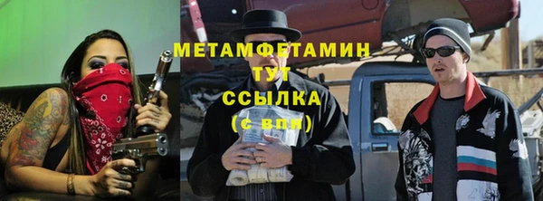 ПСИЛОЦИБИНОВЫЕ ГРИБЫ Осинники