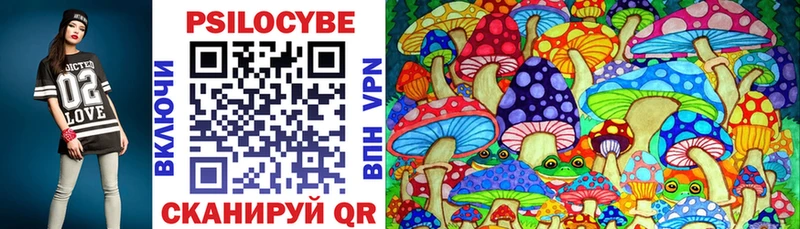 Псилоцибиновые грибы Psilocybe  купить наркотики цена  ссылка на мегу сайт  Качканар 